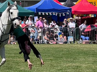 Horsing around at this year's Steam Rally! 