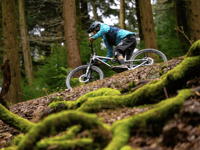 Forest of Dean Cycle Centre wins Sporting Venue of the Year