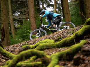 Forest of Dean Cycle Centre wins Sporting Venue of the Year