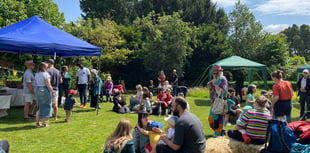 Make a beeline for the Nelson Garden for bee festival