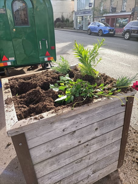 A vandalised planter. Image courtesy of Mark Price