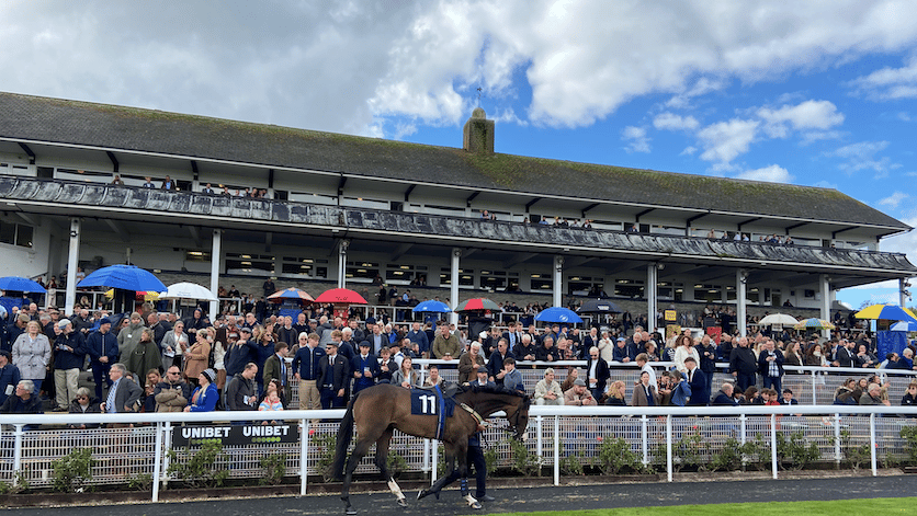 Chepstow racecourse celebrates 100 years: a century of Welsh racing ...