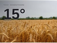 Rain on the way for Monmouthshire - here's your Wednesday forecast