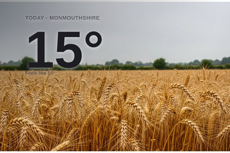 Monmouthshire weather: cloudy Wednesday with rain expected and a high of 14°C