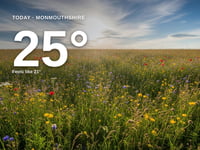 Monmouthshire: partly cloudy day, high of 24°C